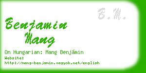 benjamin mang business card